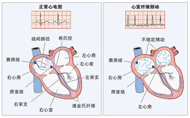 20211016_cardiology 02